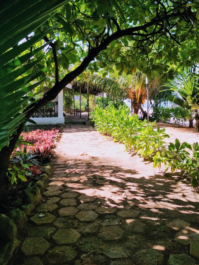 Panga Chumvi Beach Resort Matemwe  Exteriér fotografie