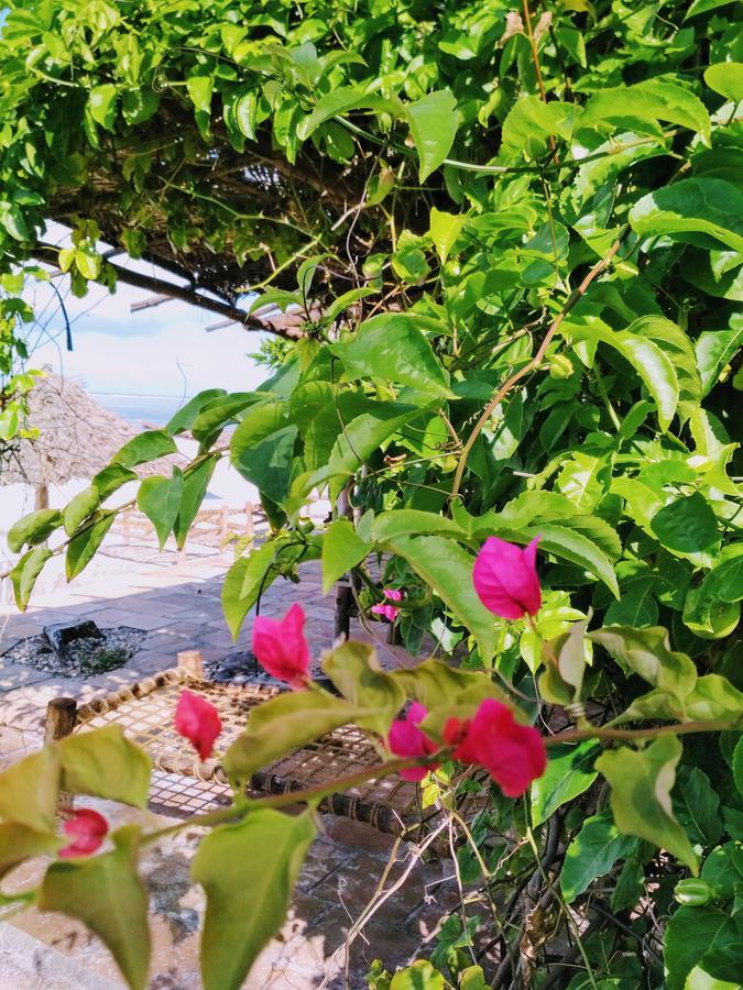 Panga Chumvi Beach Resort Matemwe  Exteriér fotografie