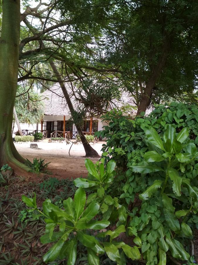 Panga Chumvi Beach Resort Matemwe  Exteriér fotografie